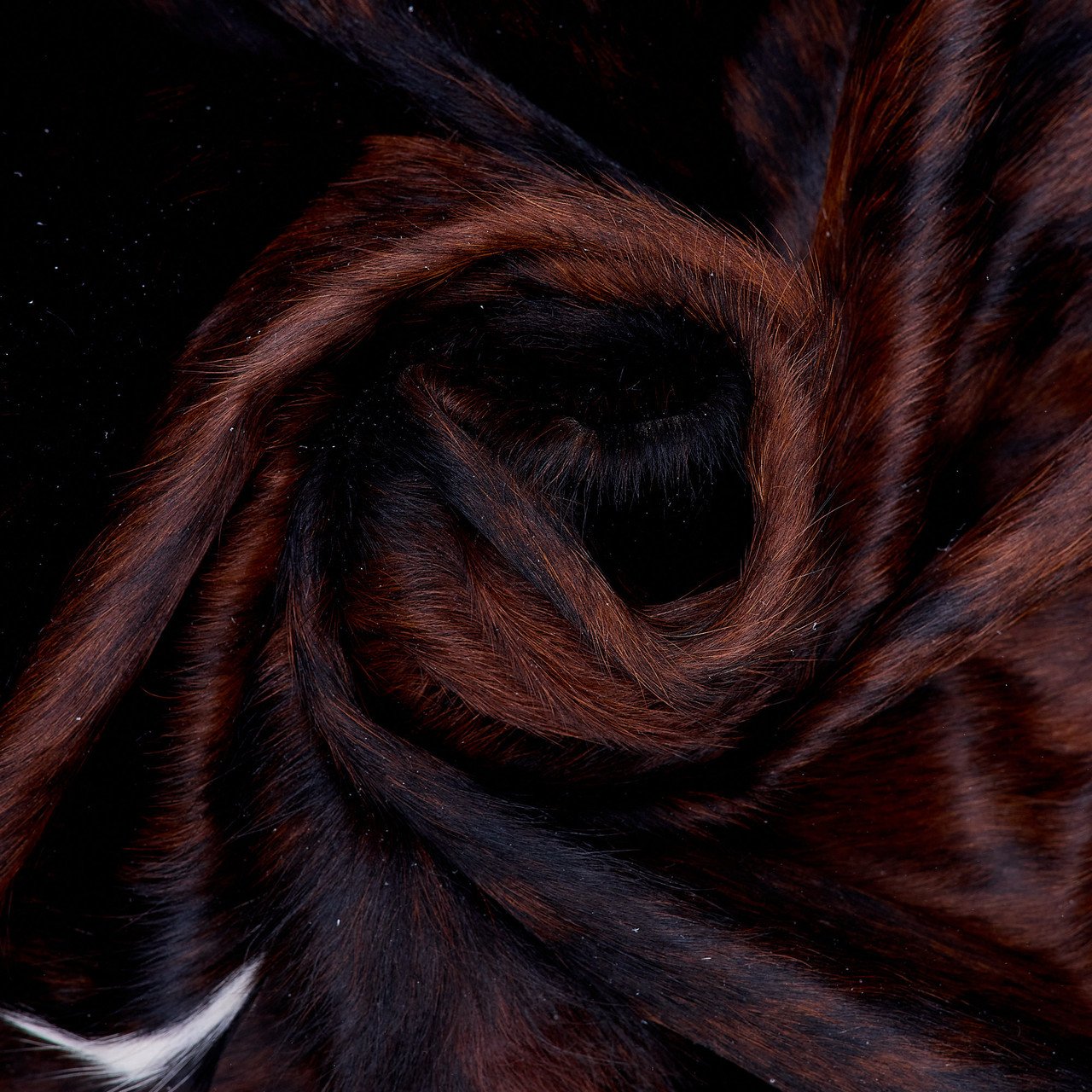 Cowhide Rug - Image 4