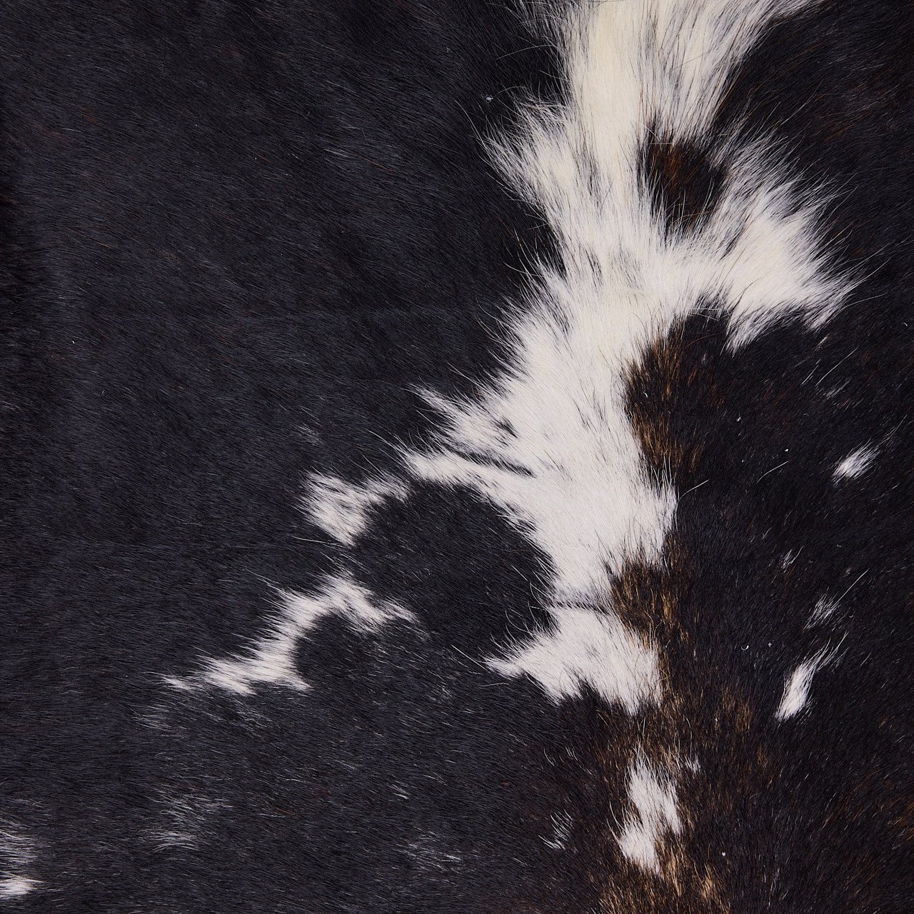 Cowhide Rug - Image 4