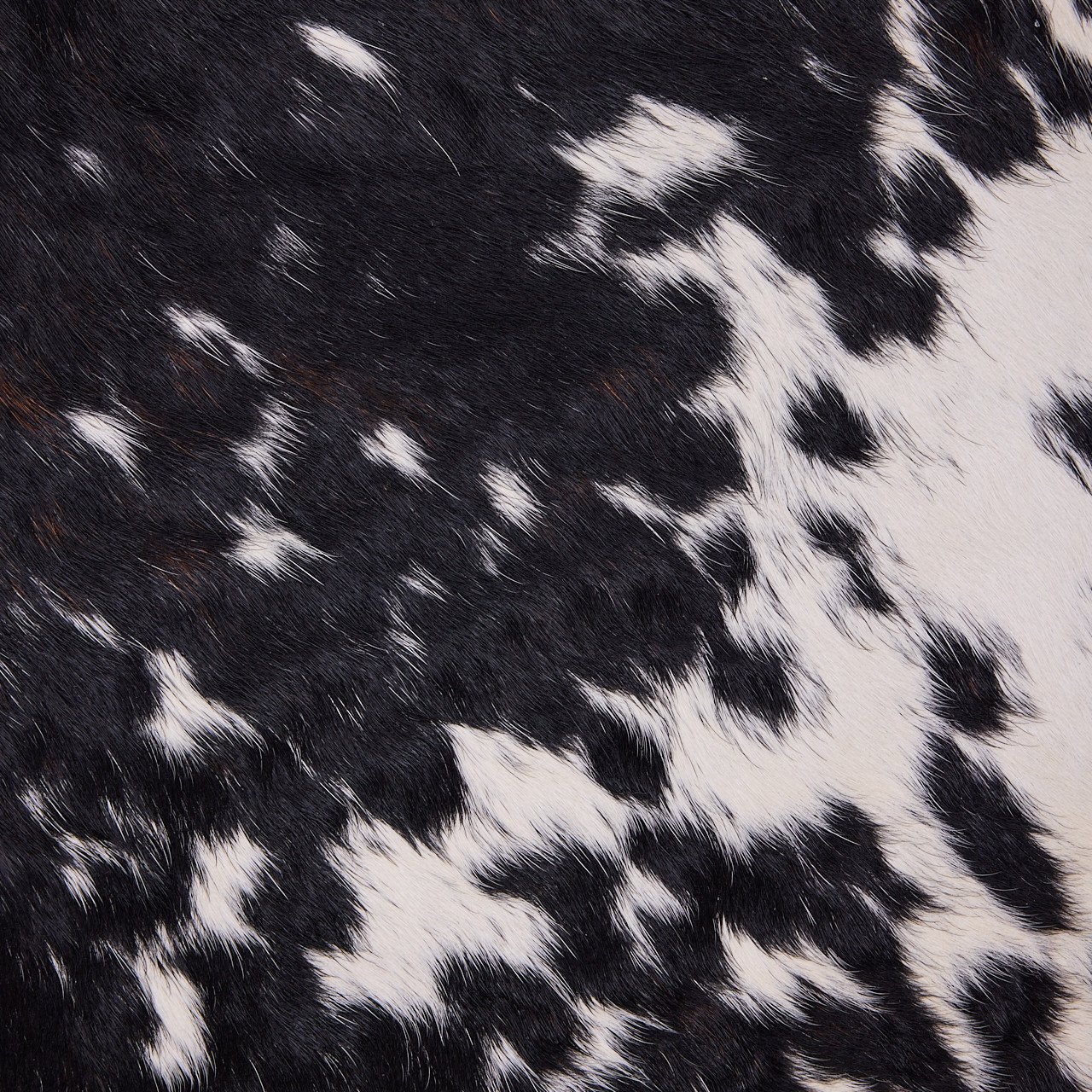 Cowhide Rug - Image 3